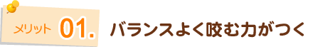 バランスよく咬む力がつく