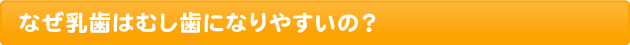 なぜ乳歯はむし歯になりやすいの？