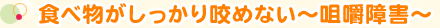 食べ物がしっかり咬めない～咀嚼障害～