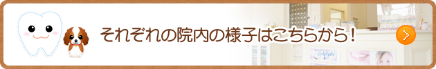 それぞれの院内の様子はこちらから！