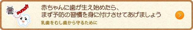 赤ちゃんに歯が生え始めたら、まず予防の習慣を身に付けさせてあげましょう