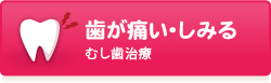 歯が痛い･しみる